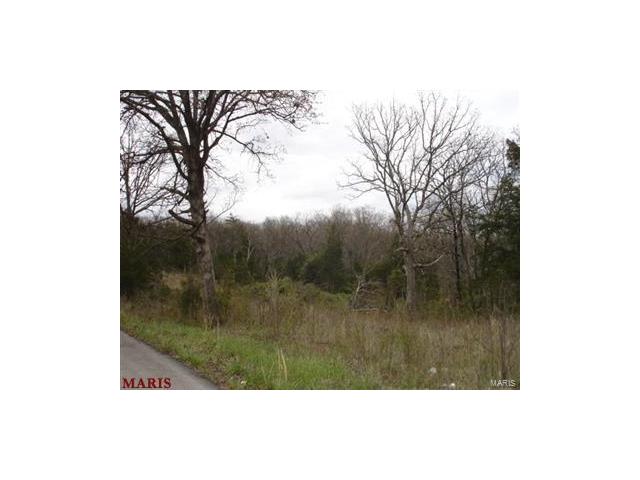 0 Main Street, Leslie, MO 63056