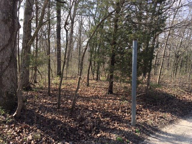 0 Wildwood Estates, St Clair, MO 63077
