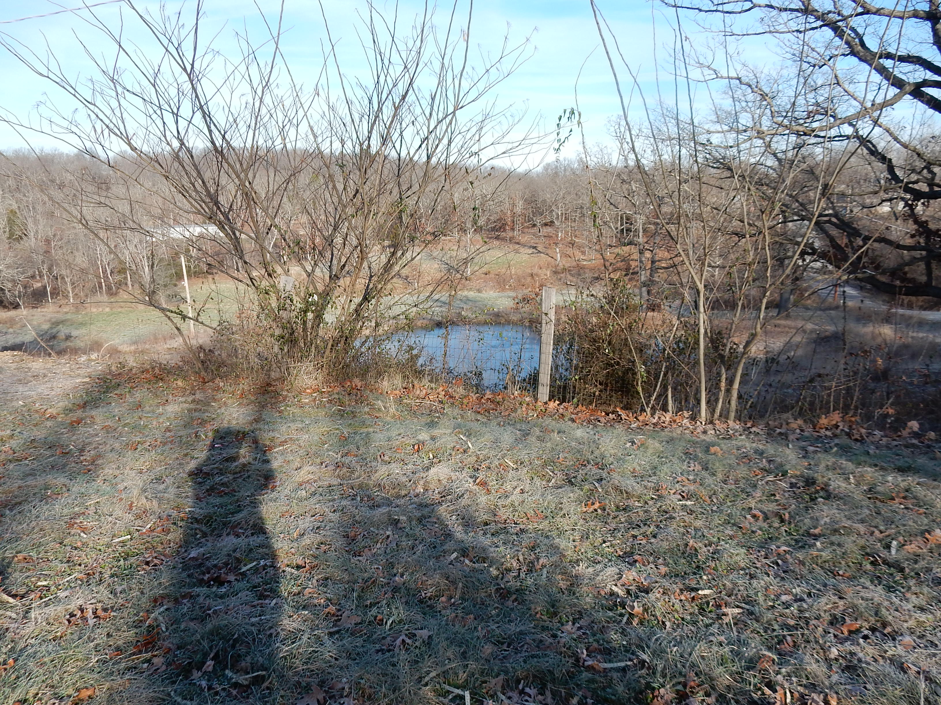 161 High Point Lane, St Clair, United States 63077
