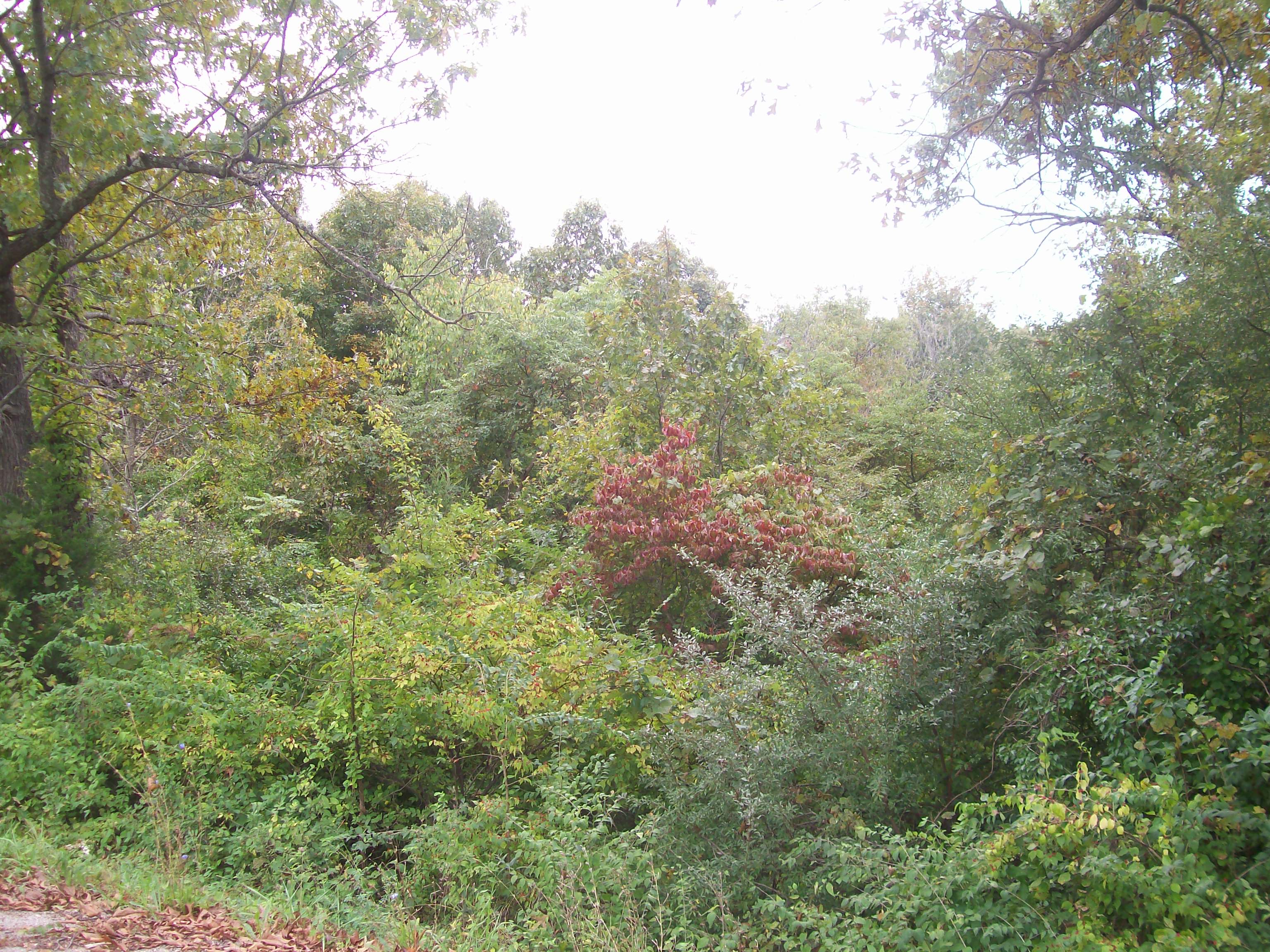 1514 Stanton Acres, Sullivan, MO 63080