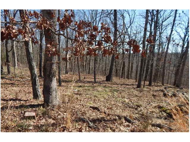 4143 Highway Y, Valles Mines, MO 63087