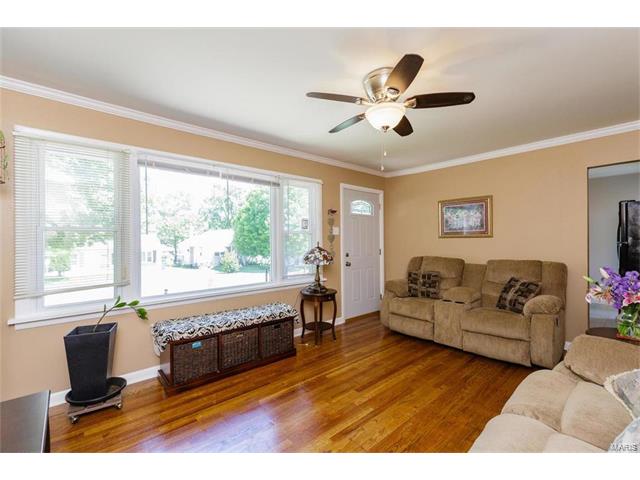 9512 Theodosia Avenue, St Louis, MO 63114