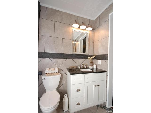 3742 Blow, St Louis, MO 63116