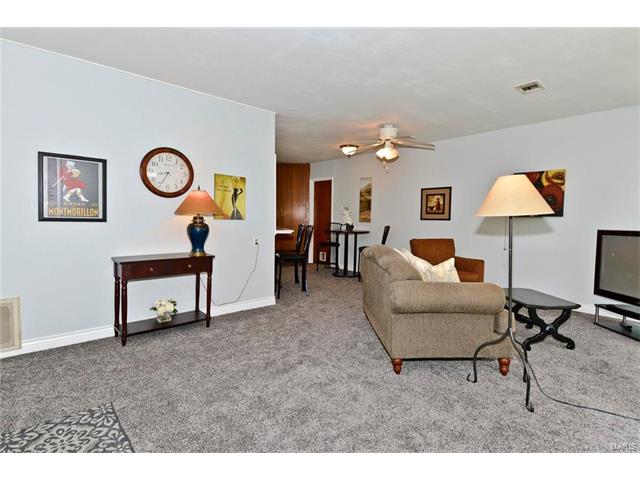7424 Jeanene Avenue, St Louis, MO 63116