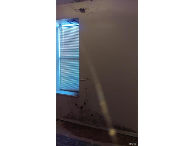 3131 California Avenue, St Louis, MO 63118