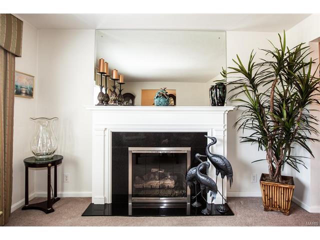 8415 Glen Echo DR, Bel-nor, United States 63121