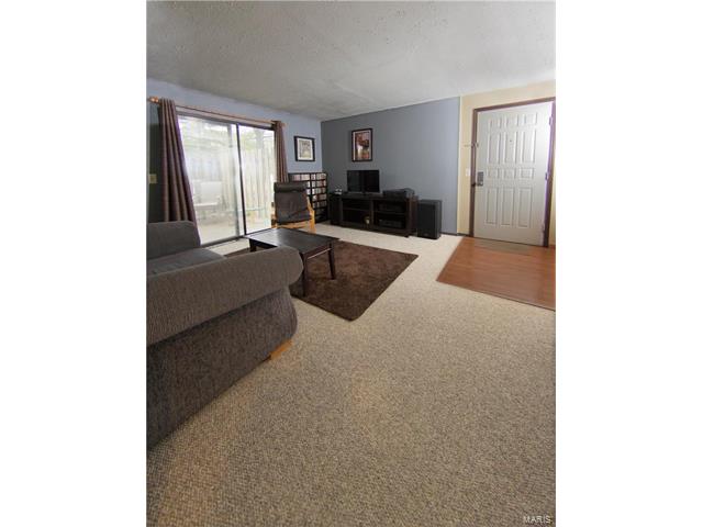 1101 Mariedale Court, Kirkwood, MO 63122