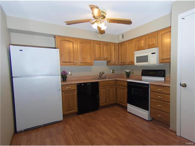 1101 Mariedale Court, Kirkwood, MO 63122