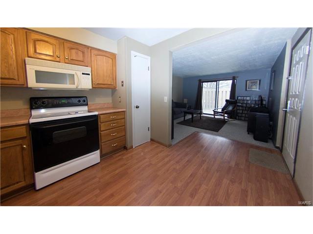 1101 Mariedale Court, Kirkwood, MO 63122