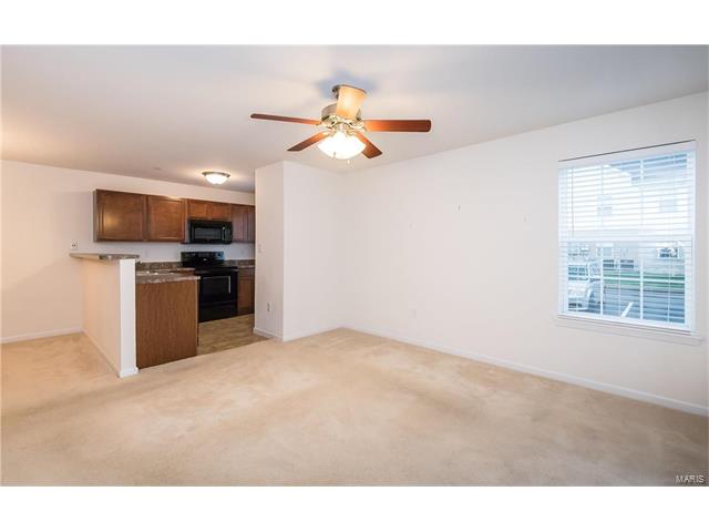 9740 Bexley Station DR 7B, St Louis, MO 63123