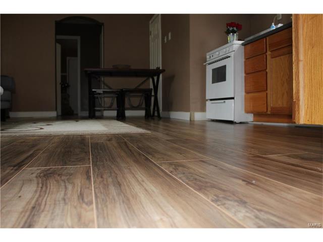738 Wachtel Avenue, St Louis, MO 63125