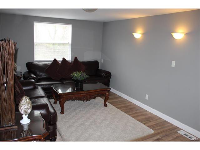 738 Wachtel Avenue, St Louis, MO 63125