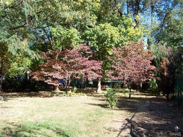 3904 Will Avenue, St Louis, MO 63125