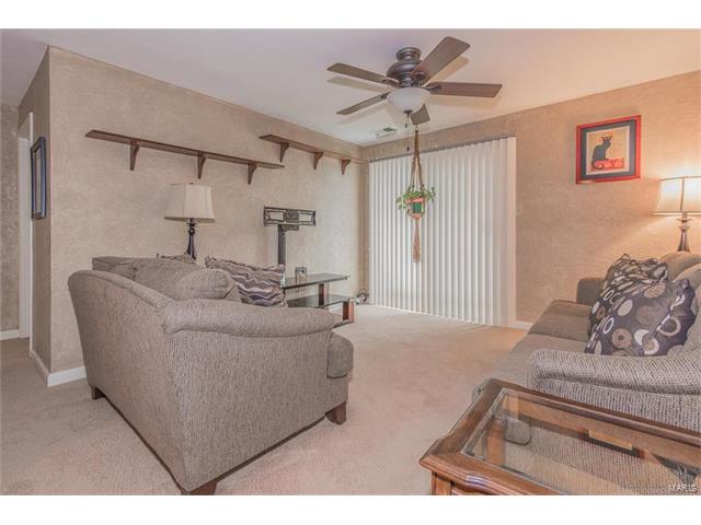 4317 Arrow Tree, St Louis, MO 63128