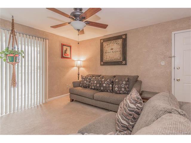4317 Arrow Tree, St Louis, MO 63128