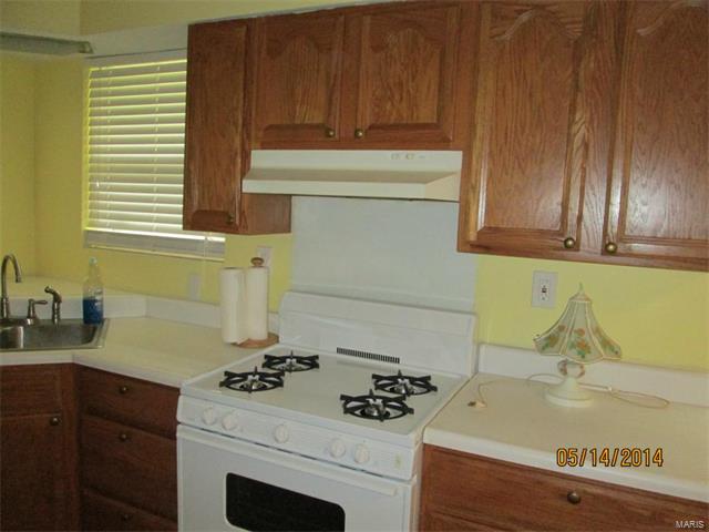 10507 Green Slope Drive, St Louis, MO 63136