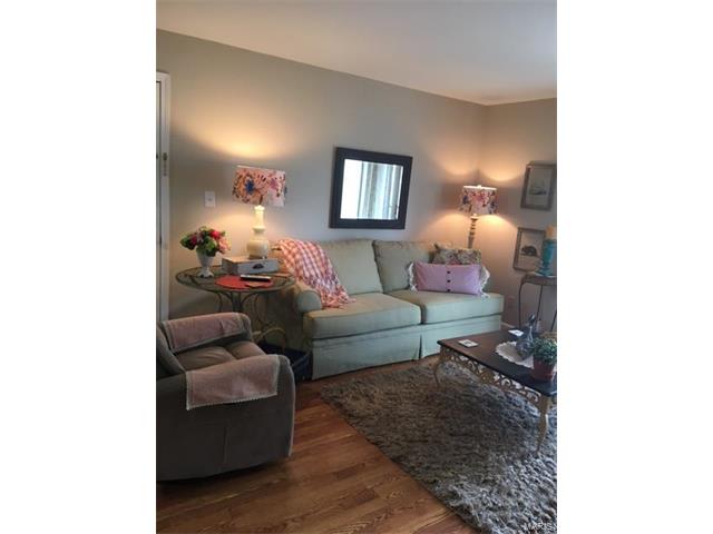 1948 Marine Terrace Drive, St Louis, MO 63146