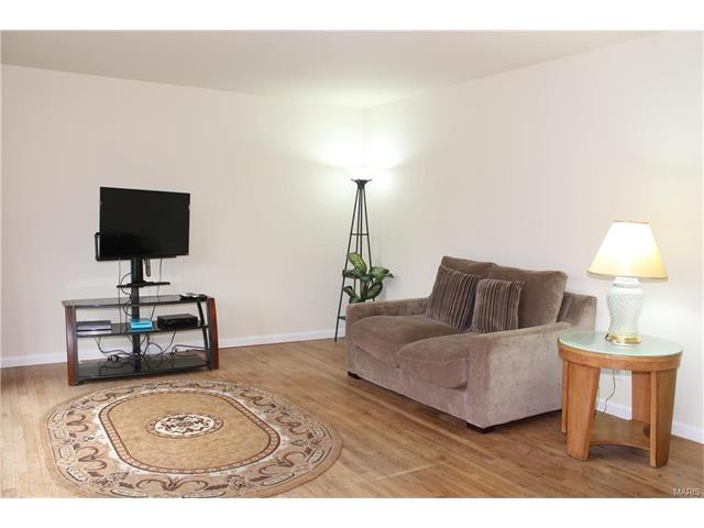 11349 Momarte Lane, St Louis, United States 63146