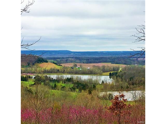 310 Coyote Crest Lane, Augusta, MO 63332