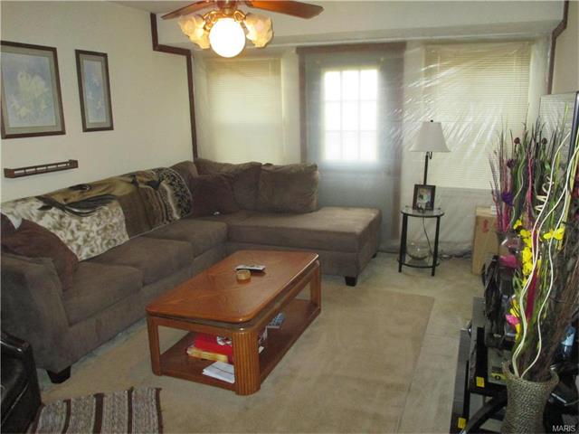 207 Horse Shoe Lane, Elsberry, MO 63343