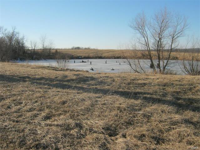 95 Morgan Valley Lane, Foley, MO 63347