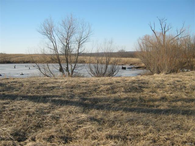 95 Morgan Valley Lane, Foley, MO 63347