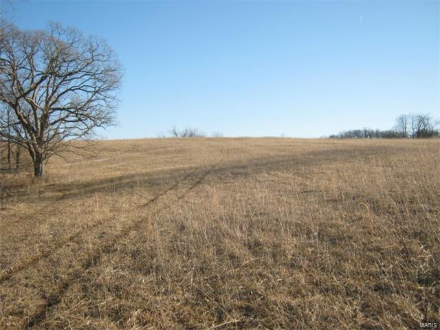 95 Morgan Valley Lane, Foley, MO 63347