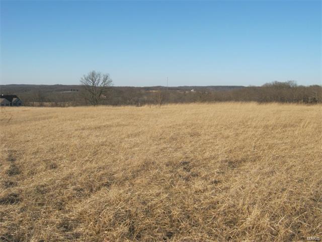 95 Morgan Valley Lane, Foley, MO 63347
