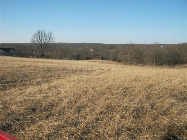 95 Morgan Valley Lane, Foley, MO 63347