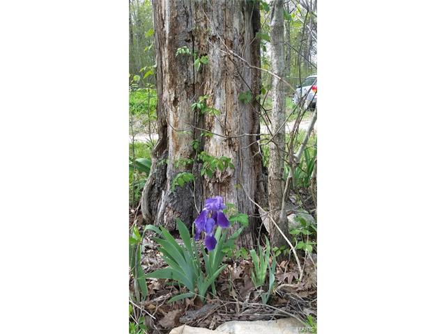 10 Cescutti RD Acres, Marthasville, MO 63357