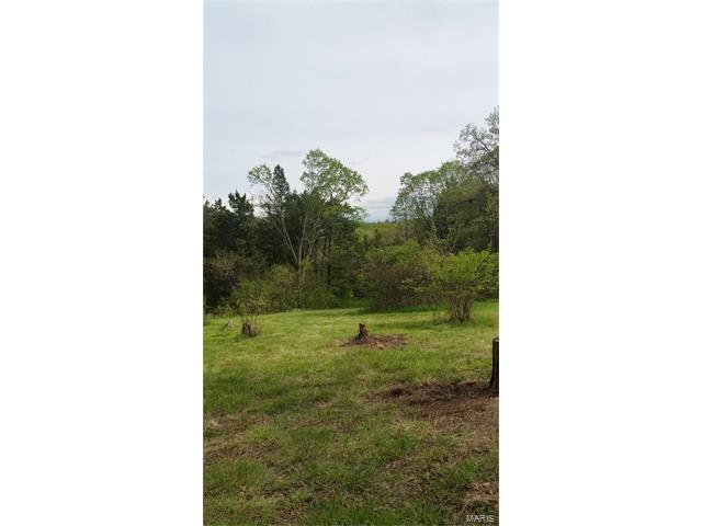10 Cescutti RD Acres, Marthasville, MO 63357