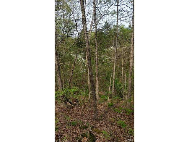 10 Cescutti RD Acres, Marthasville, MO 63357