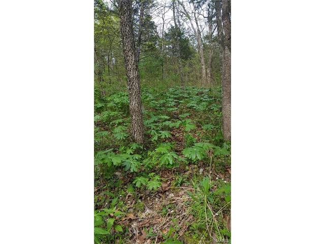 10 Cescutti RD Acres, Marthasville, MO 63357