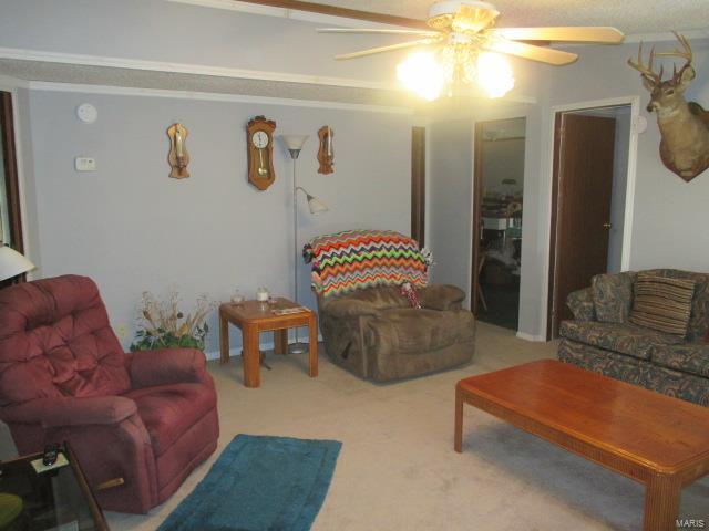 62 Beach Circle, Moscow Mills, MO 63362