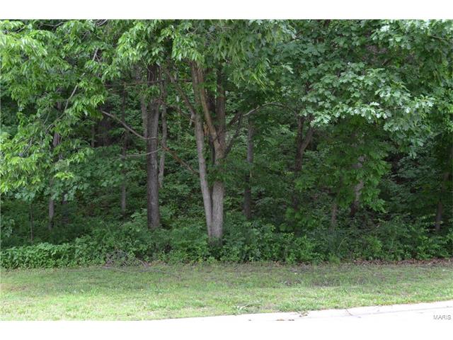 121 Dauphine, Lake St Louis, MO 63367