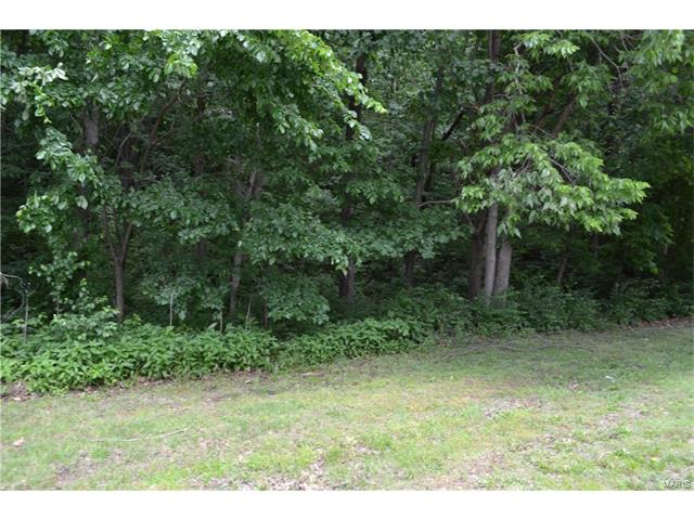 121 Dauphine, Lake St Louis, MO 63367