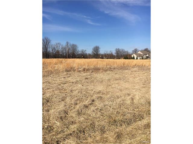 229 Bless US Drive, Wentzville, MO 63385