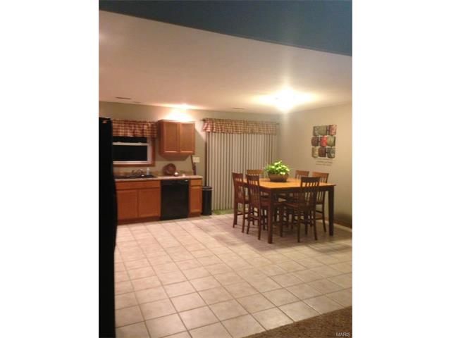 10675 Beech Road, Monroe City, MO 63456