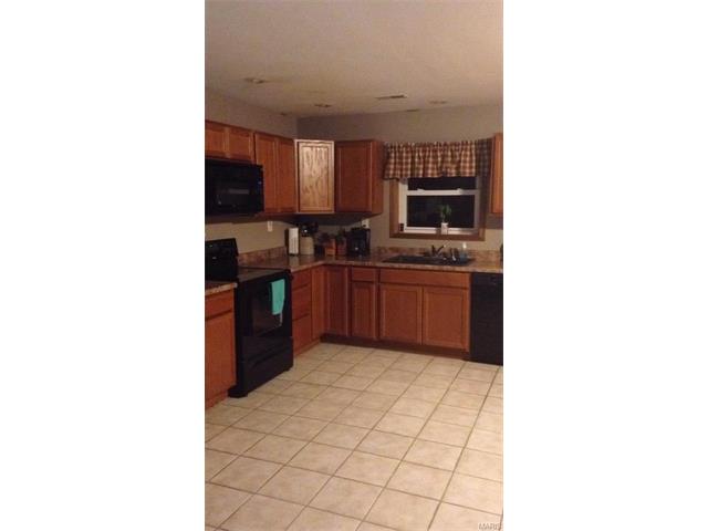 10675 Beech Road, Monroe City, MO 63456