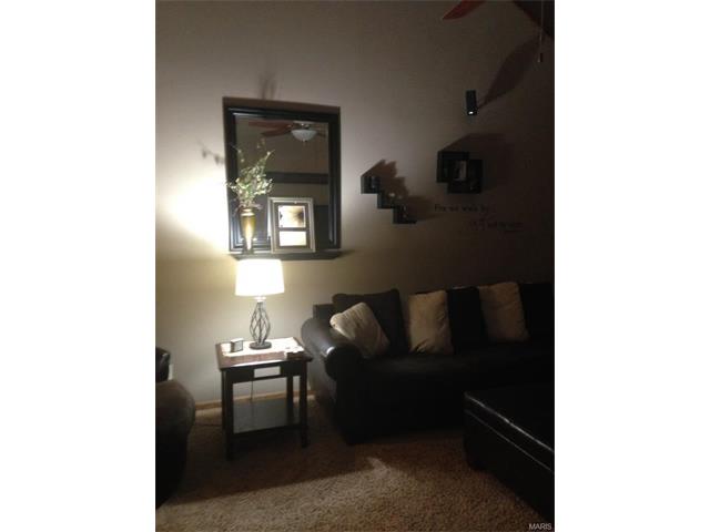 10675 Beech Road, Monroe City, MO 63456