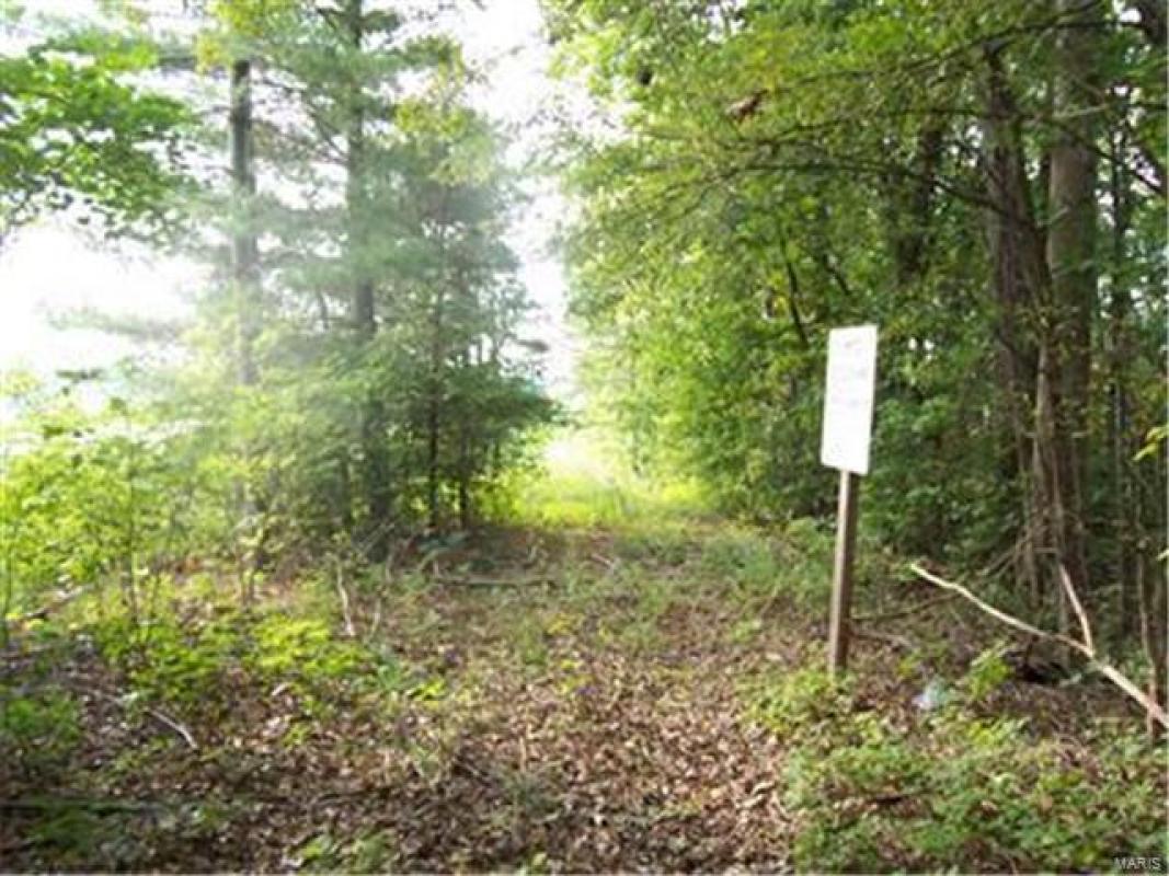 Hunt, Farmington, MO 63640