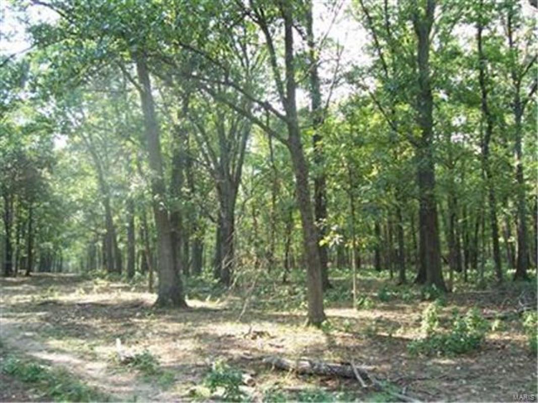 Hunt, Farmington, MO 63640