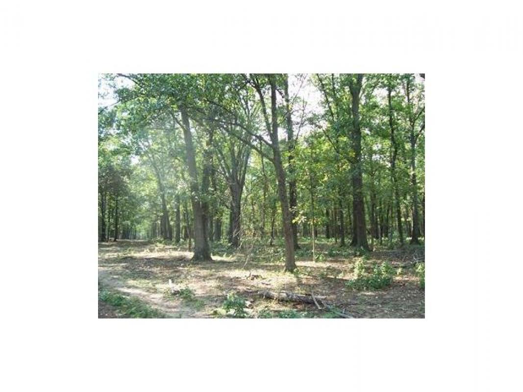 Hunt, Farmington, MO 63640