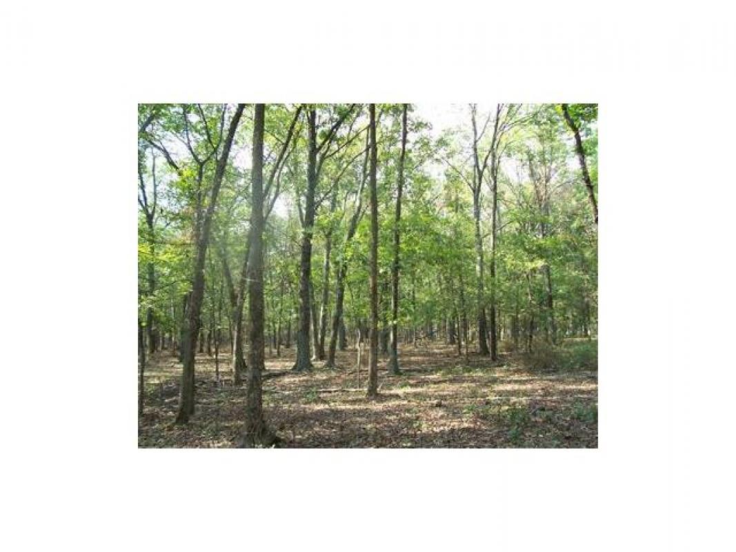 Hunt, Farmington, MO 63640