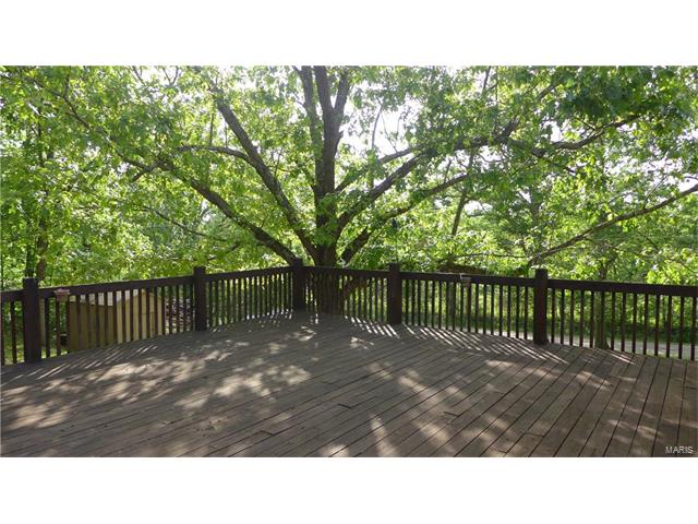 1325 Madison 504, Fredericktown, MO 63645