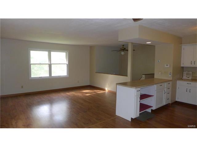 1325 Madison 504, Fredericktown, MO 63645