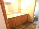 10837 CHOKECHERRY RD ,MO, Potosi, 63664