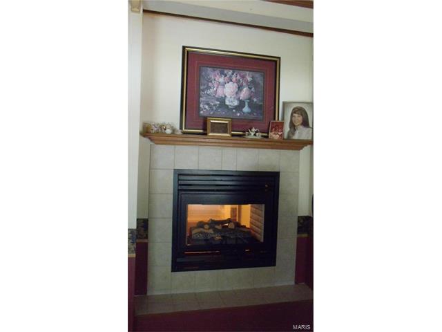 14797 Lakeview Drive, Ste Genevieve, MO 63670