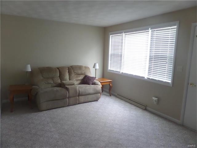 17419 State Route N, St Mary, MO 63673