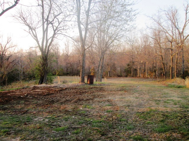 15541 State Highway AF, Dexter, MO 63841